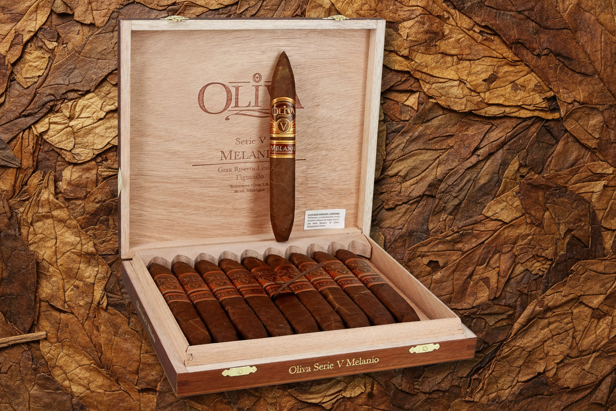 Oliva Serie V Melanio Figurado
