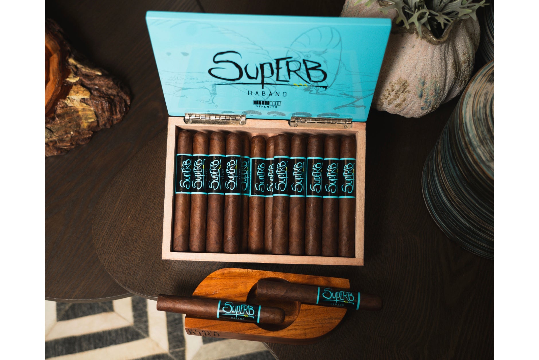 Blackbird Superb Robusto Gordo