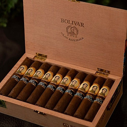 Bolivar Gran República Robusto