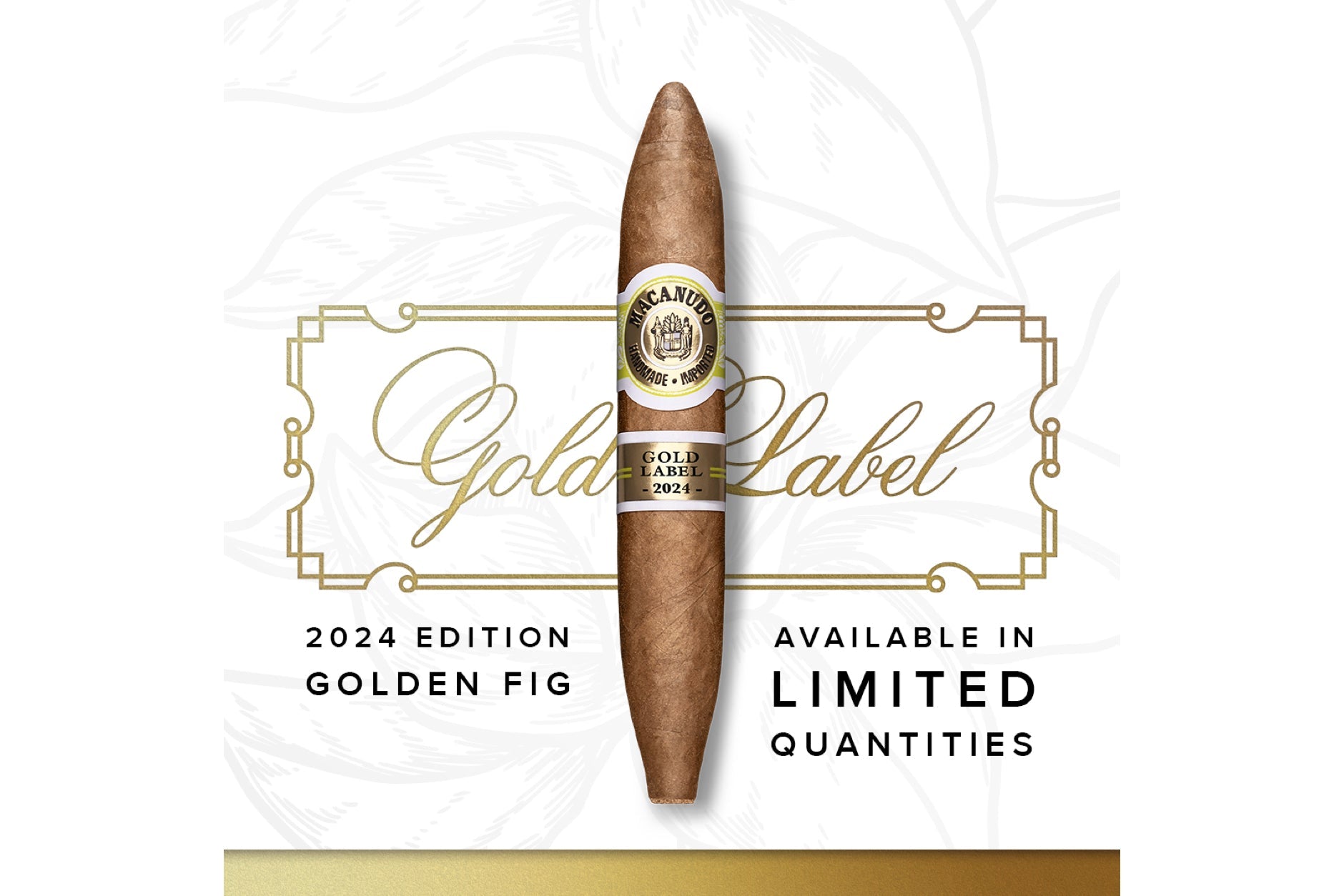 Macanudo Golden Fig 2024 Figurado