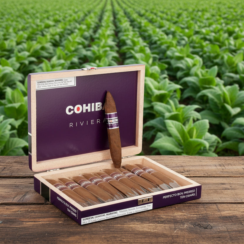 Open Cohiba Riviera cigar box with cigars inside, featuring the Cohiba logo.
